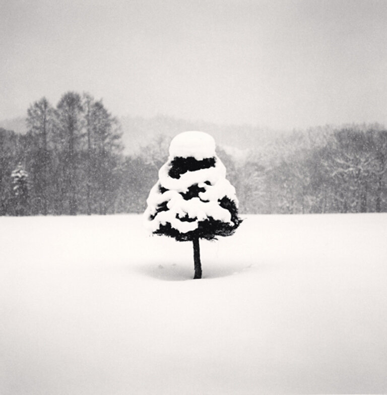 Michael Kenna: Snow Parfait Tree, Wakoto, Hokkaido, Japan, 2004